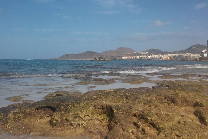 Las Palmas: Las Canteras Beach Snorkeling Trip - Experience the Underwater World of Las Canteras Beach in Las Palmas