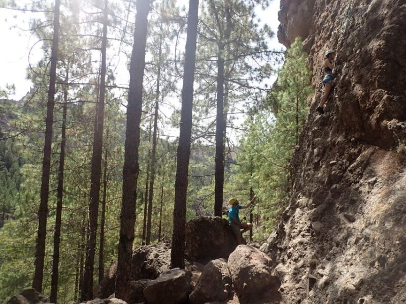 Las Palmas: Sunset Mountain Climbing Trip Near Roque Nublo - The Value of This Experience