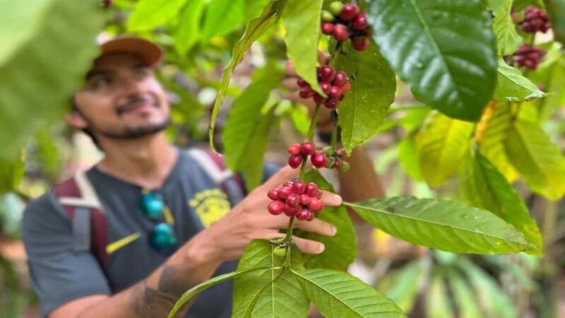 Las Terrenas: ATV Tour with Farm Visit and Beach Stop - Exploring the Tours Itinerary and Highlights