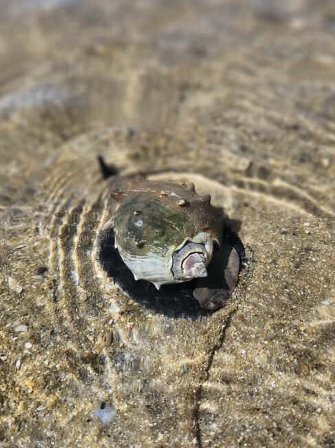 Las Terrenas: Los Haitises Boat and Walking Tour with Lunch - Final Words