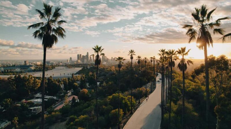 LAs Timeless Treasures: A Downtown Discovery Private Tour - An In-Depth Look at the Downtown Los Angeles Private Tour