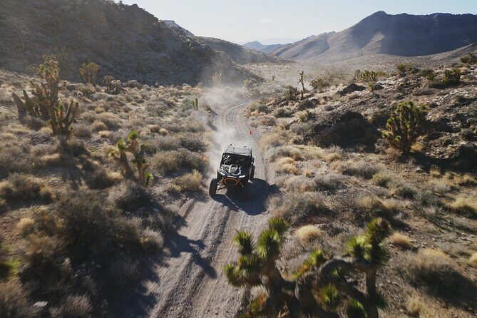 Las Vegas ATV Tour with Free Transportation - Who Will Love This Tour?