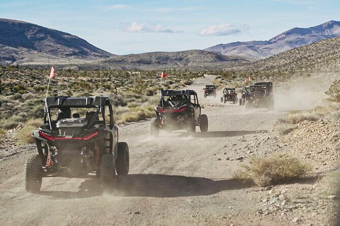 Las Vegas ATV Tour with Free Transportation - The Sum Up: Is It Worth It?