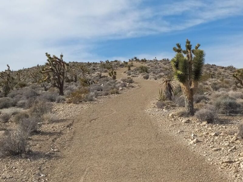 Las Vegas ATV Tours - An In-Depth Look at Las Vegas ATV Tours