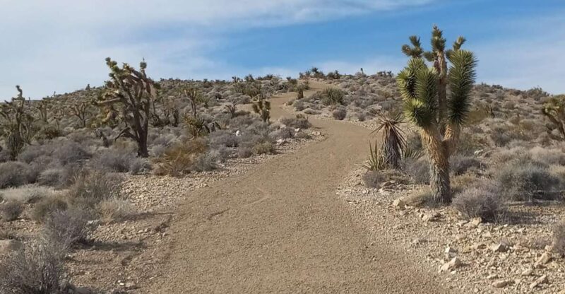 Las Vegas ATV Tours - FAQ