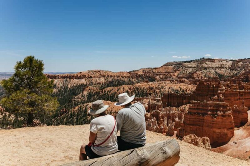 Las Vegas: Bryce and Zion National Parks Tour with Lunch - What Makes This Tour Stand Out?