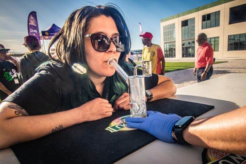 Las Vegas: Cannabis Tour with Weed Lounge & Party Bus - A Deep Dive into the Itinerary