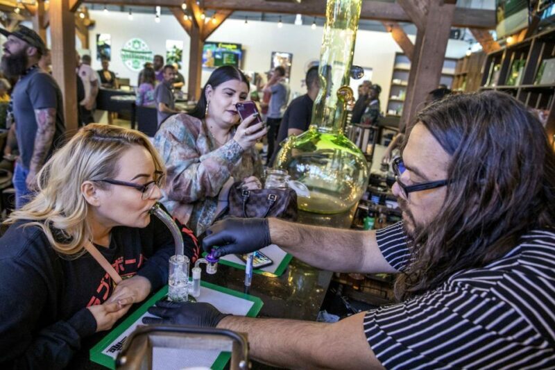 Las Vegas: Cannabis Tour with Weed Lounge & Party Bus - Final Thoughts: Who Should Book This?