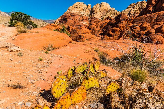 Las Vegas Day Trips: 3-Day Self-Guided Audio Tour - Who Is This Tour Best For?