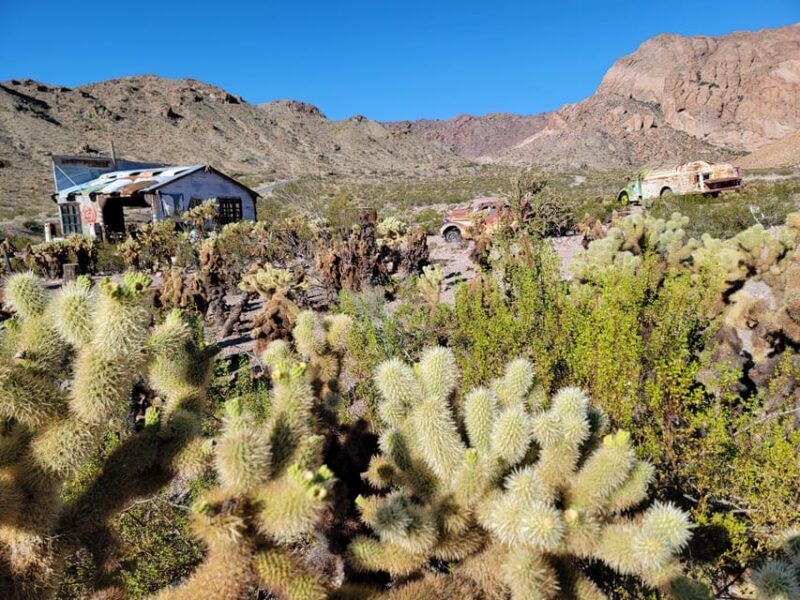 Las Vegas Eldorado Canyon & Nelson Ghost Town Adventure Tour - A Detailed Look at the Eldorado Canyon & Nelson Ghost Town Tour