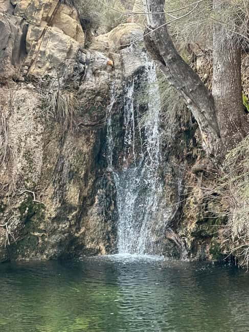 Las Vegas: Family Friendly Guided Hike to Emerald Falls - Final Thoughts