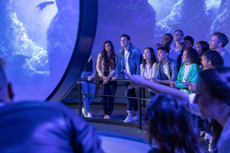 Las Vegas: Flyover in Las Vegas Experience Ticket - The Details: What You Can Expect from Flyover Vegas