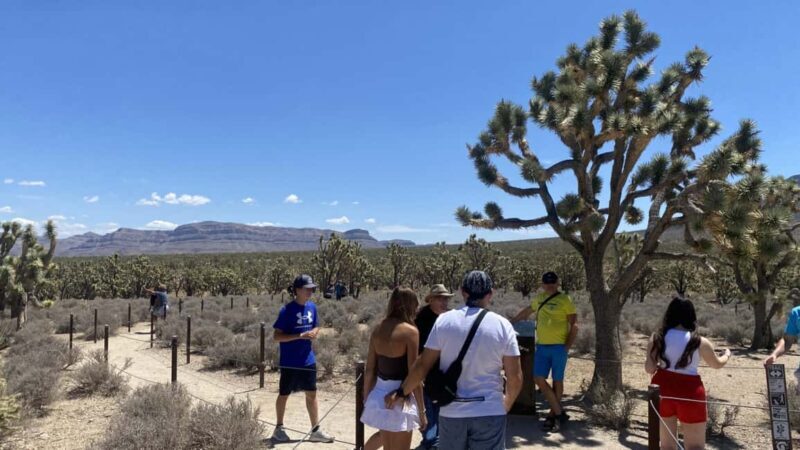Las Vegas: Grand Canyon Helicopter & Ranch Adventure by Bus - Discover the Grand Canyon & Western Ranch on a Full-Day Adventure