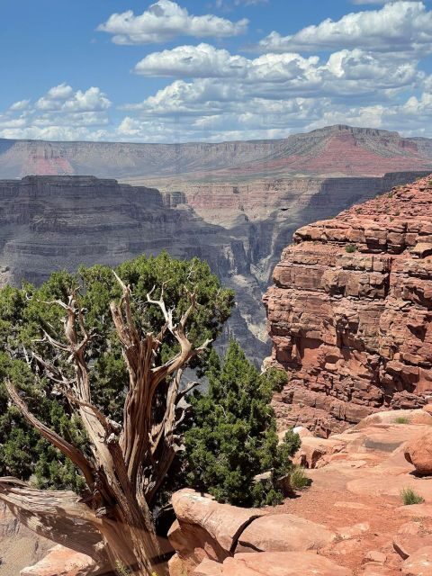 Las Vegas: Grand Canyon West, Hoover Dam & Optional Skywalk - Final Word