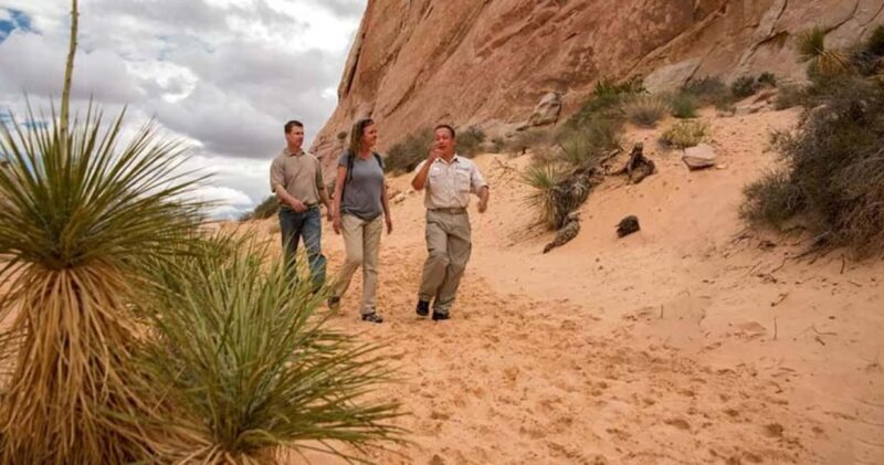 Las Vegas: Hoover Dam and Valley of Fire Combo Tour - Discovering the Best of Hoover Dam and Valley of Fire