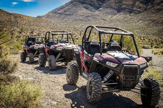Las Vegas Mini Desert RZR Adventure - Las Vegas Mini Desert RZR Adventure: A Practical Guide