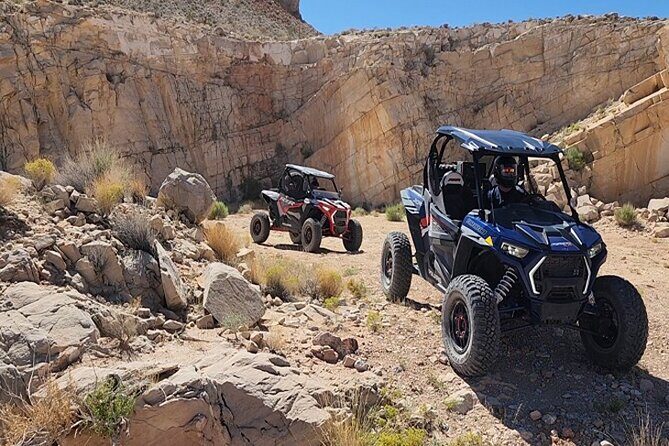 Las Vegas Mini Desert RZR Adventure - Who Should Consider This Tour?
