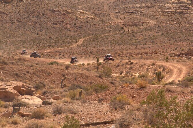 Las Vegas Mini Desert RZR Adventure - Frequently Asked Questions