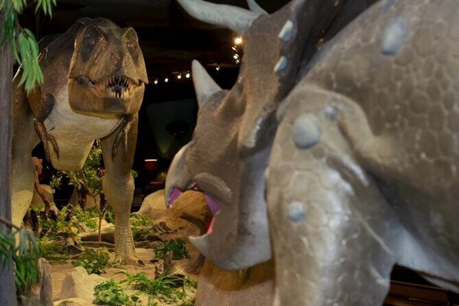 Las Vegas Natural History Museum Admission Ticket - Key Points