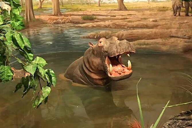 Las Vegas Natural History Museum Admission Ticket - FAQs