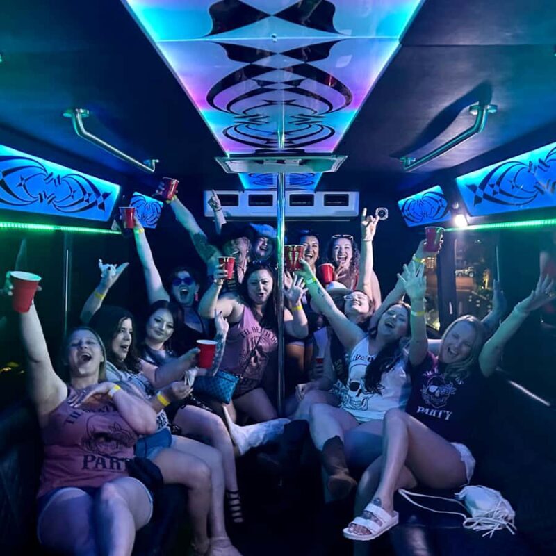 Las Vegas: Private Karaoke Party Bus Tour with Pickup - A Deep Dive Into the Karaoke Bus Experience