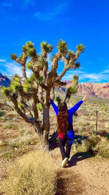 Las Vegas: Private Red Rock Canyon Guided Driving Adventure - In-Depth Look at the Tour Experience
