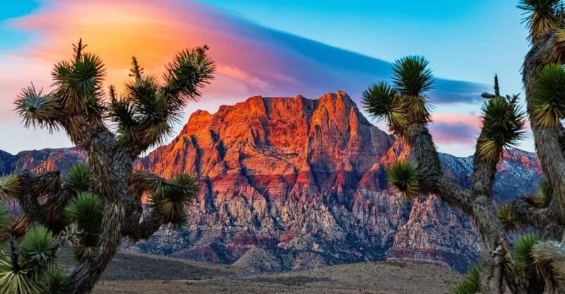 Las Vegas: Private Red Rock Canyon Guided Driving Adventure - Exploring Red Rock Canyon with a Private Guided Driving Tour