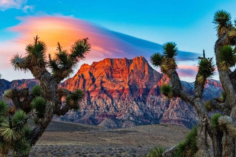 Las Vegas: Private Red Rock Canyon Guided Driving Adventure - Why Choose This Tour?