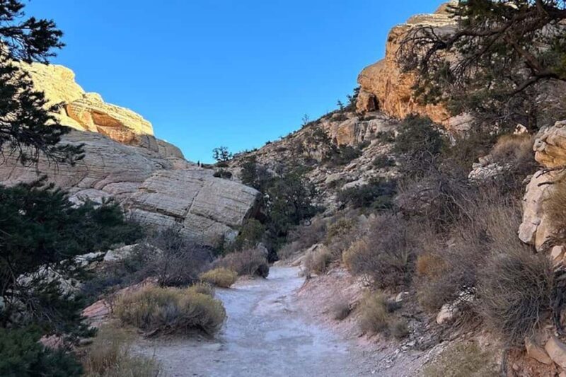 Las Vegas: Red Rock Canyon Guided Hike with Pickup - Final Thoughts: Is This Tour for You?