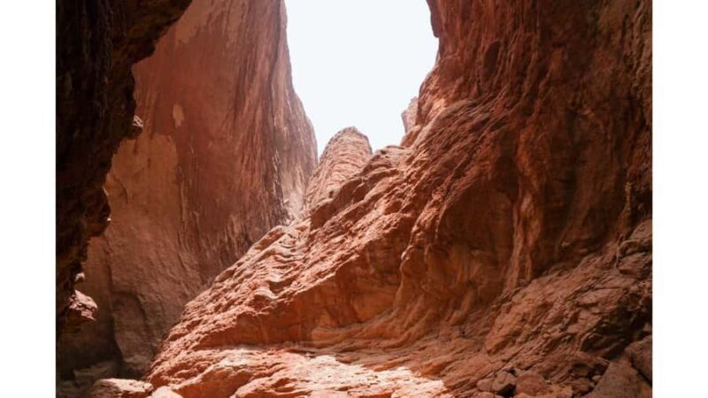 Las Vegas: Red Rock Canyon Private Tour - The Experience in Detail