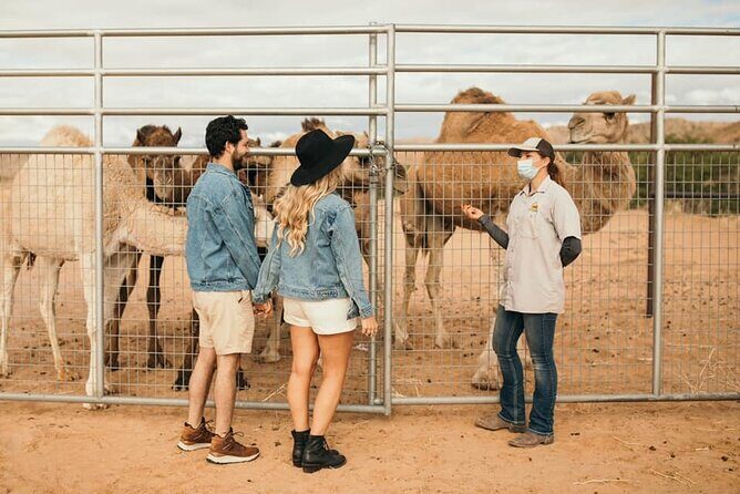 Las Vegas Safari Tram Ride and Zoo Tour at Camel Safari - Key Points
