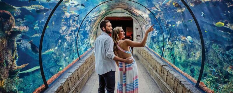 Las Vegas: Shark Reef Aquarium Entry Ticket - A Deep Look at the Shark Reef Aquarium Experience