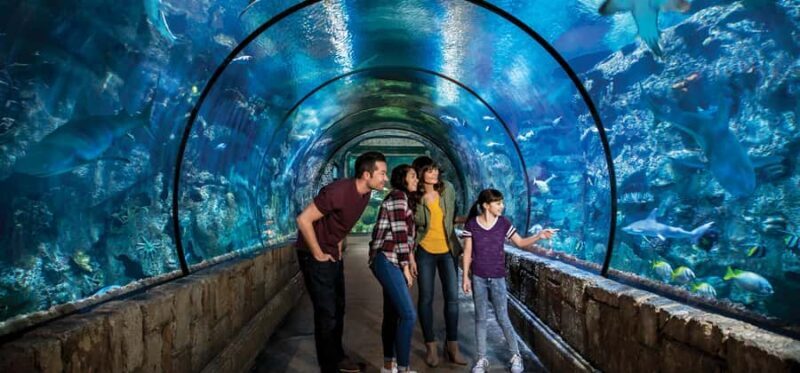 Las Vegas: Shark Reef Aquarium Entry Ticket - Practical Tips for Visiting