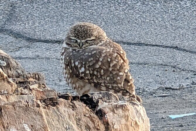 Las Vegas Small Group Backcountry Mystery Tours - What’s Included and What’s Not