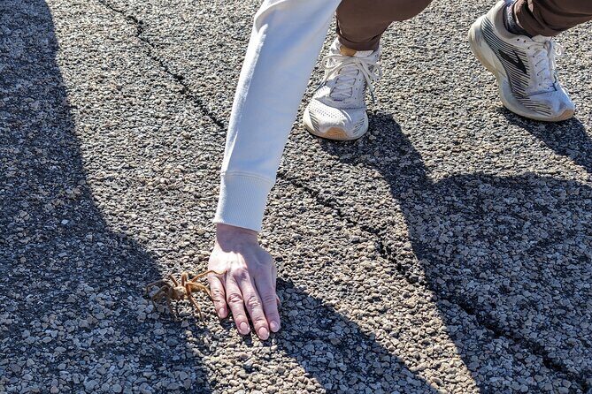 Las Vegas Small Group Backcountry Mystery Tours - The Logistics and Practicalities