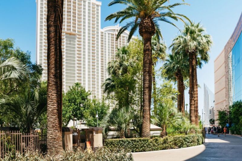 Las Vegas Strip: 3-Stop Pool Party Crawl with Party Bus - Final Thoughts: Who Should Consider This Tour?