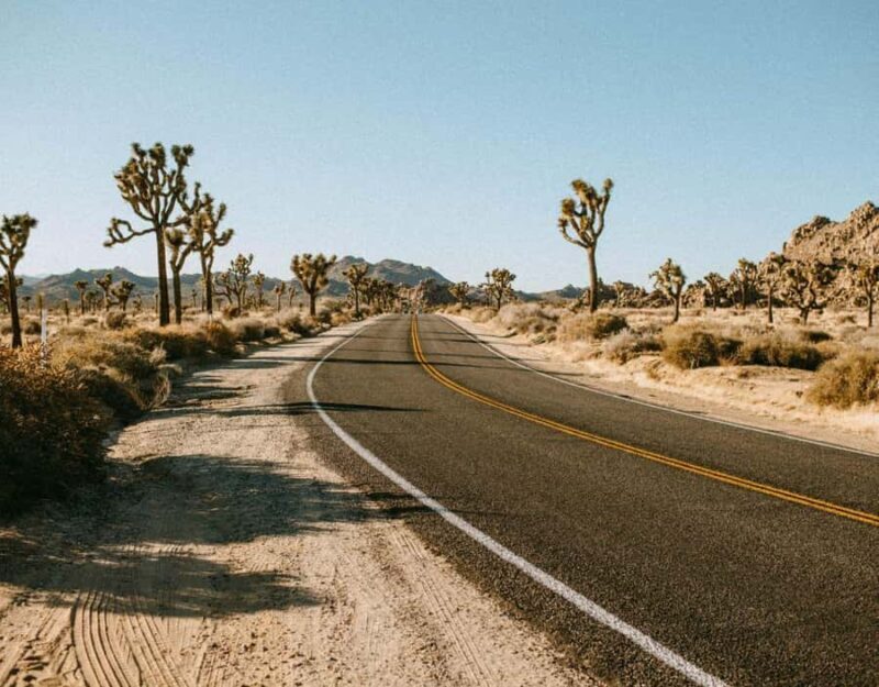 Las Vegas to Los Angeles One Way Tour via Joshua Tree NP - Key Points