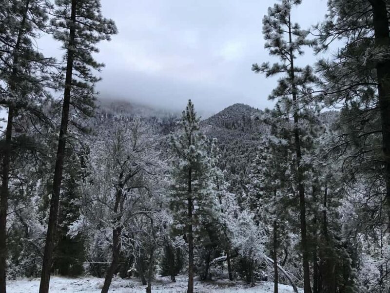 Las Vegas: Ultimate Snowplay Adventure at Mount Charleston - Key Points