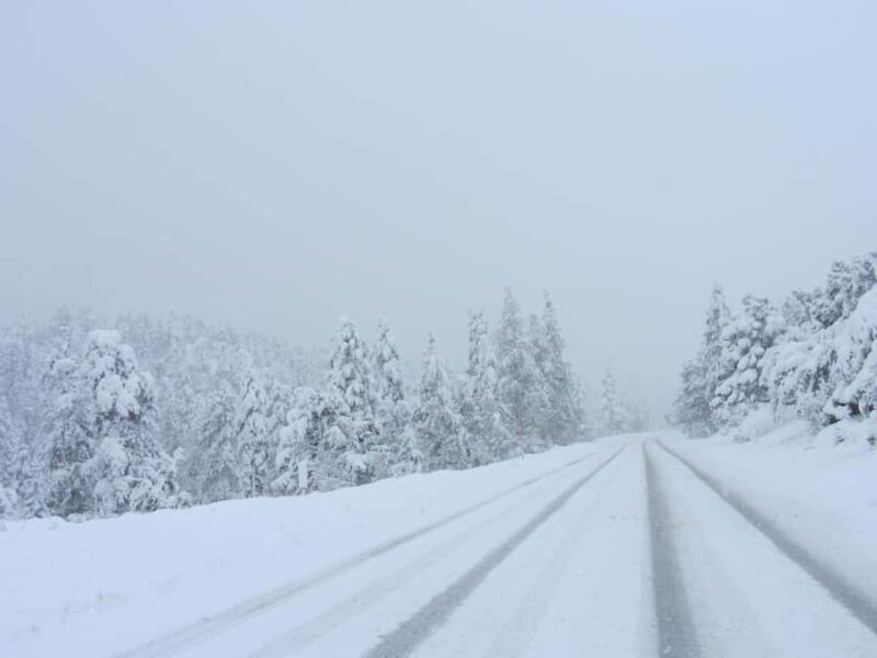 Las Vegas: Ultimate Snowplay Adventure at Mount Charleston - Who Is This Tour Perfect For?