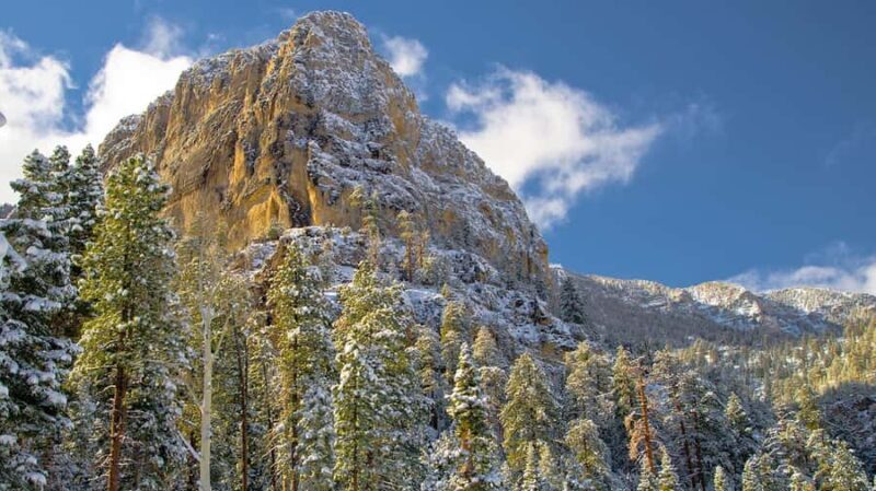 Las Vegas: Ultimate Snowplay Adventure at Mount Charleston - The Sum Up