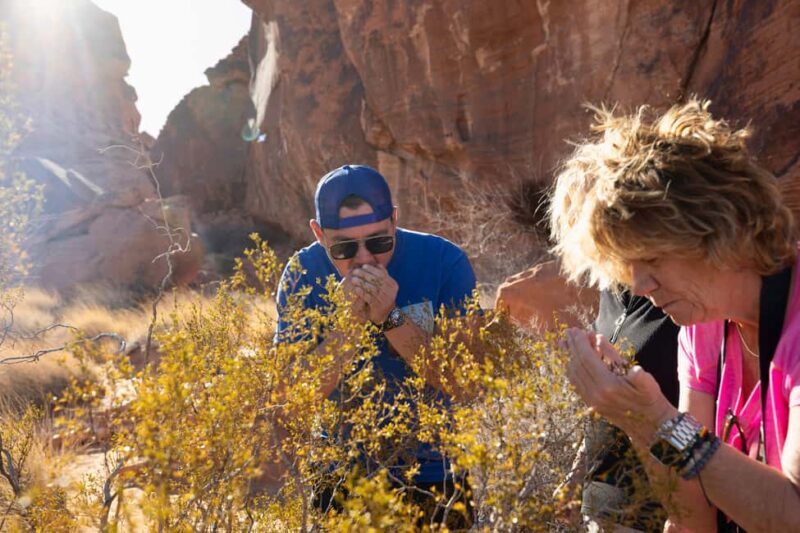 Las Vegas: Valley of Fire and Red Rock Canyon Day Trip - Key Points