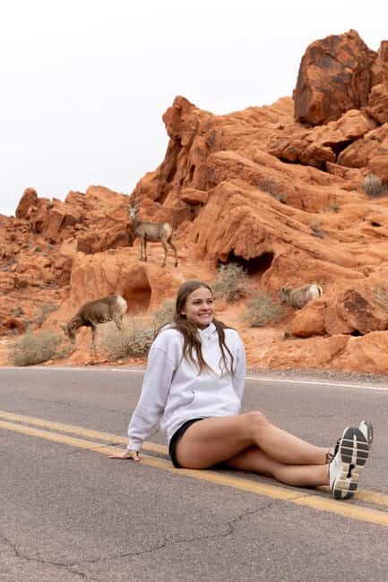 Las Vegas: Valley of Fire and Red Rock Canyon Day Trip - The Itinerary: From Sunrise to Sunset