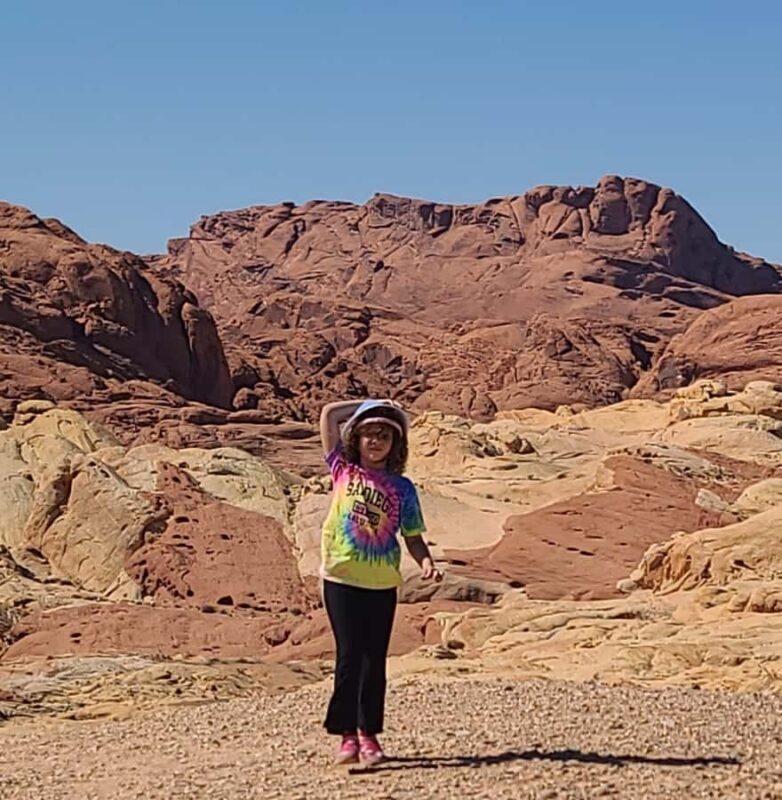 Las Vegas: Valley of Fire and Red Rock Canyon Tour - A Detailed Look at the Valley of Fire and Red Rock Canyon Tour