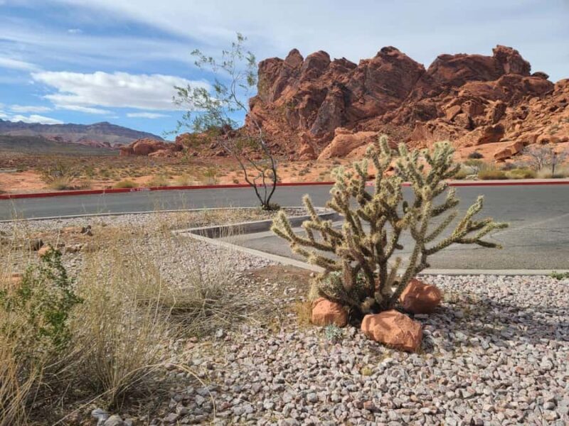 Las Vegas: Valley of Fire and Red Rock Canyon Tour - The Sum Up
