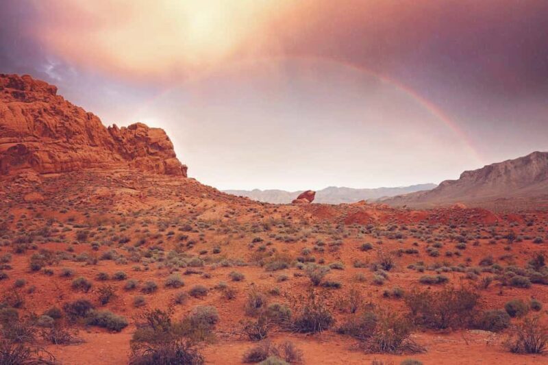 Las Vegas: Valley of Fire State Park Guided Tour - The Sum Up: A Balanced, Authentic Experience