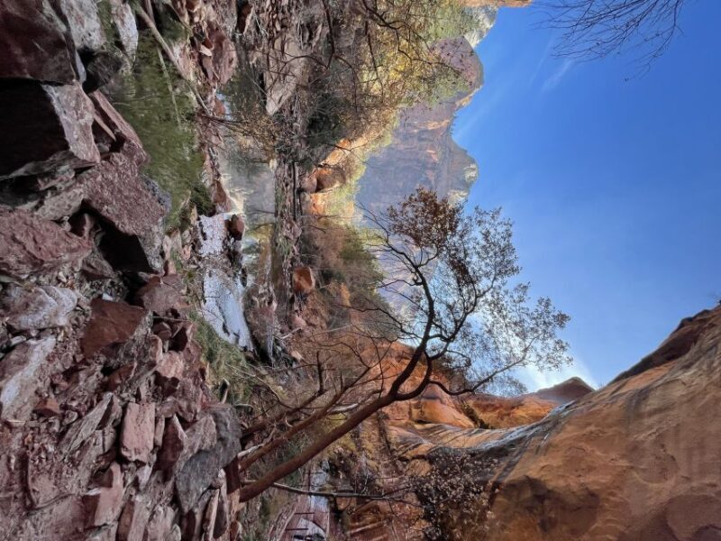 Las Vegas: VIP Guided Photography & Hiking Tour of Zion NP - What to Expect: Detailed Itinerary Breakdown