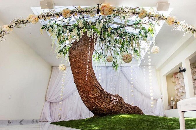 Las Vegas Wedding Photo Private Tour - The Experience from the Traveler’s Perspective