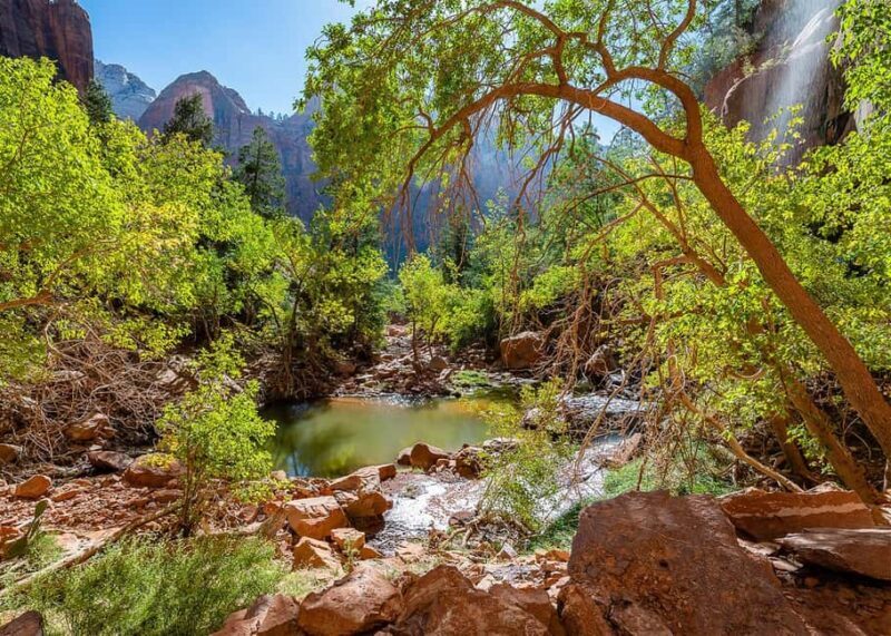 Las Vegas: Zion National Park Guided Tour with Lunch - FAQ
