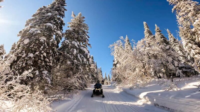 L'Ascension: Snowmobiling Upper Laurentians 2hrs - A Detailed Look at the Snowmobiling Experience