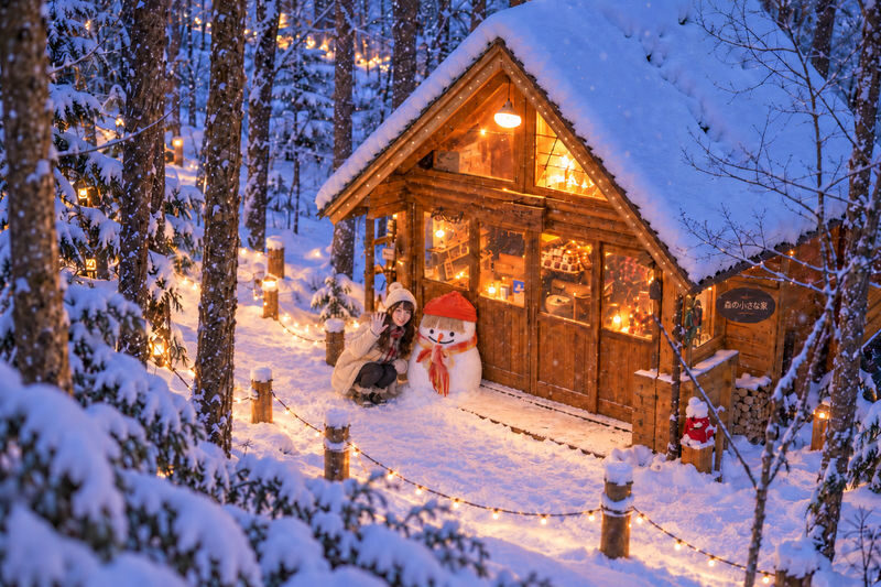 Late Departure | Forest Elf Terrace Illumination, Biei Blue Pond, Farm Tomita, Shikisai no Oka 1-Day Tour (Departing from Sapporo) - The useful details at a glance
